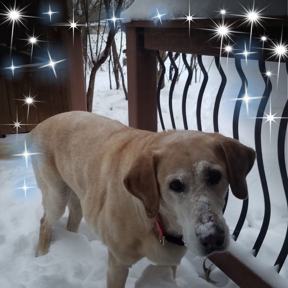 Meet your Posher, Lynn